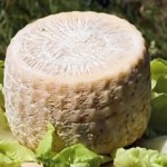 Formaggio di capra siciliana