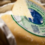 Pecorino della montagna pistoiese