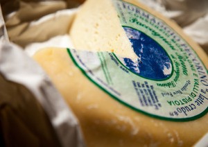 Pecorino della montagna pistoiese