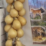 Caciocavallo (Puglia)