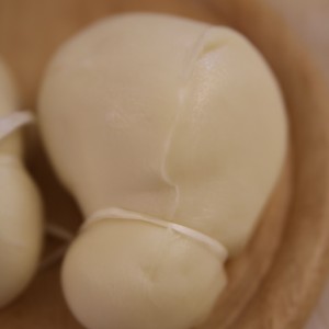 Scamorza