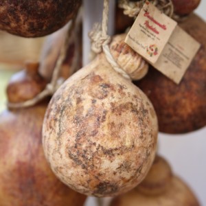 Caciocavallo Podolico del Gargano