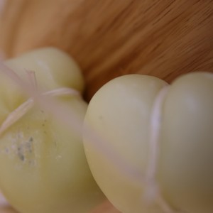 Scamorza