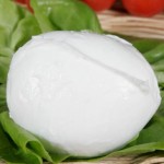 Mozzarella