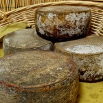 Pecorino delle colline senesi