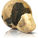 Pecorino stagionato in foglie di noce