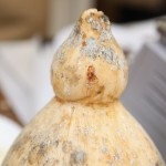 Caciocavallo Podolico del Gargano