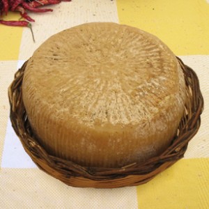 Pecorino foggiano