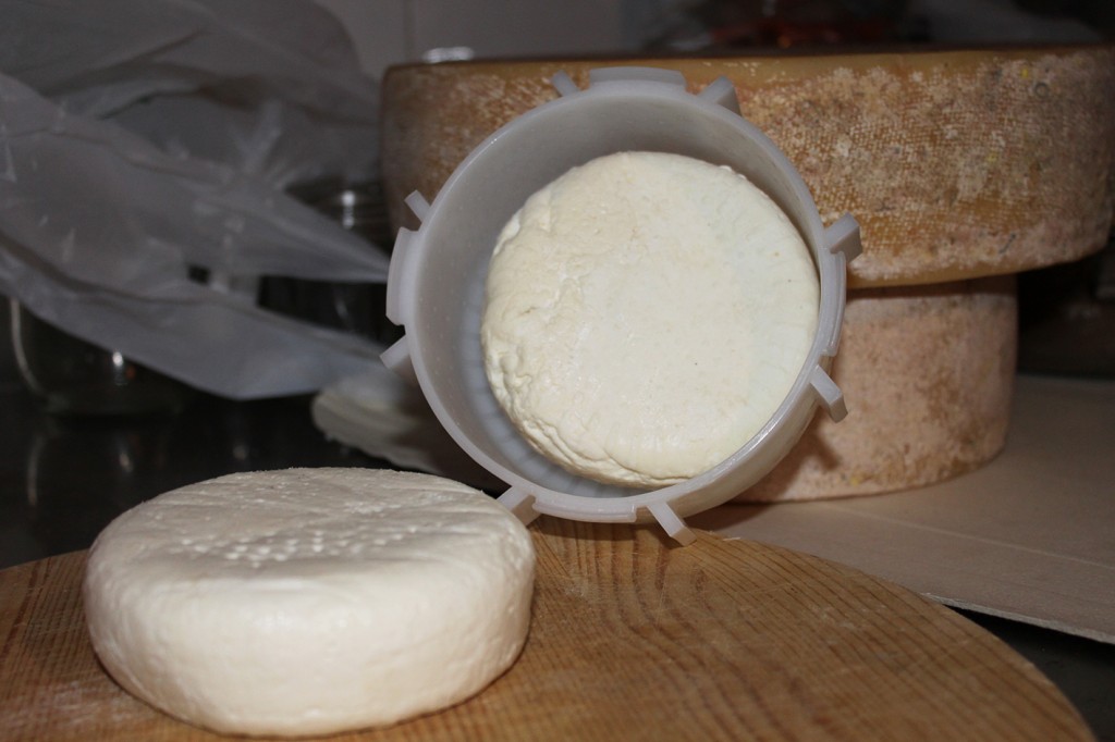 Come si fa il formaggio. Su formaggio.it il procedimento completo