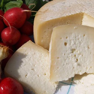 Pecorino di Maglie