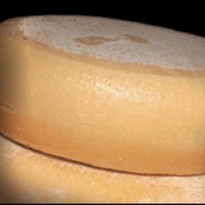 Pecorino di Maglie