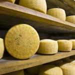 Pecorino del Parco di Migliarino San Rossore