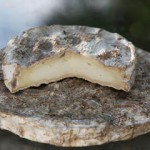 Pecorino a crosta fiorita