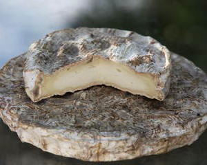 Pecorino a crosta fiorita