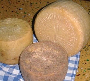 Pecorino (Puglia)