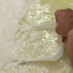 Ricotta