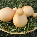 Caciocavallo affumicato (Campania)