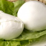 Mozzarella o Fior di latte