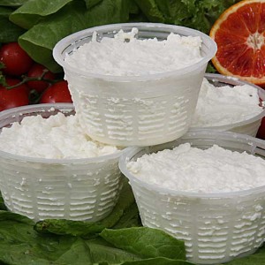 Ricotta di pecora pistoiese