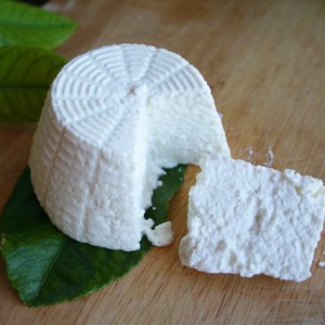 Ricotta fresca