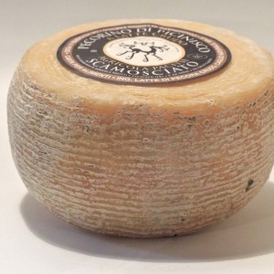 Pecorino di Picinisco Dop Scamosciato