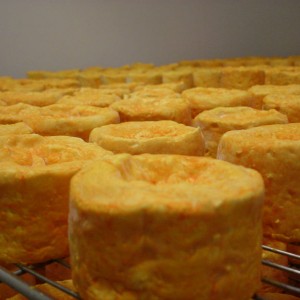 Langres D.O.P.