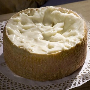 Torta del Casar DOP