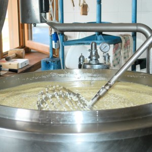 Il formaggio di qualità, dal pastore o dal mega caseificio?