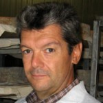 Consorzio Taleggio Dop: crescono produzione ed export