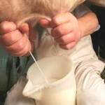 Quote latte rispettate quest’anno dall’Italia