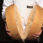 Parmigiano Reggiano, 10 mila persone ai “caseifici aperti”
