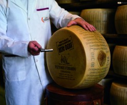 Parmigiano: il controllo