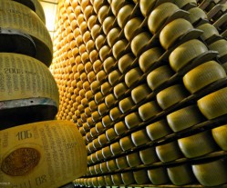 Parmigiano: scalera