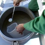 Aflatossine, Latterie Friulane può raccogliere latte