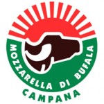 Consorzio Mozzarella di Bufala Campana DOP, eletto il nuovo CdA