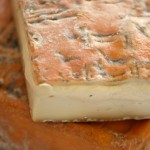 Sangiovanni torna presidente Consorzio Taleggio