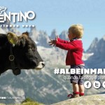  Svegliarsi in malga e fare il casaro per un giorno. In Trentino si può