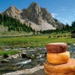 Caseifici della montagna bellunese, arriva il “distillato” della biodiversità 
