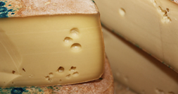 fontina-dop