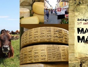 Made in Malga, 2 giorni all'evento nazionale dei formaggi di montagna