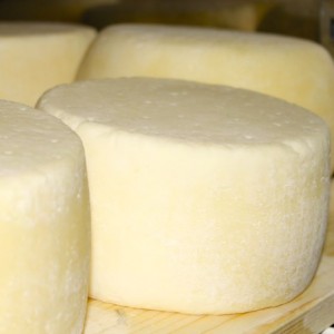 Il cacioricotta, formaggio dai mille perché