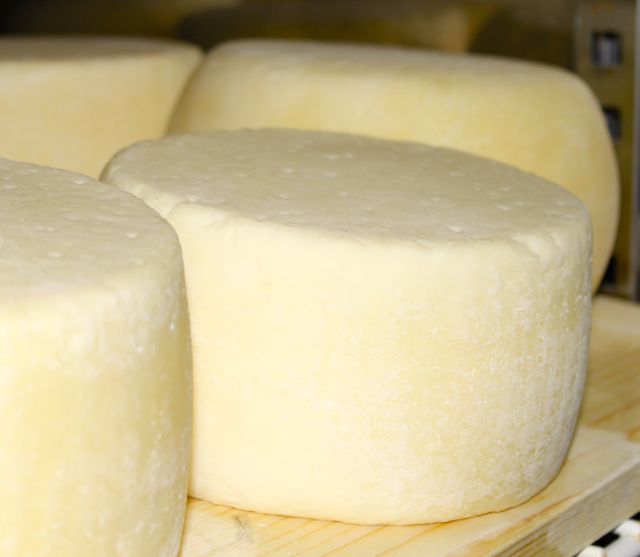 Il cacioricotta, formaggio dai mille perché