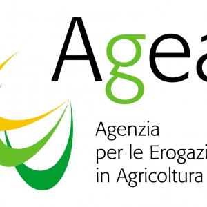 Aiuti alimentari agli indigenti: bando di gara Agea da 12,5 milioni per i formaggi Dop