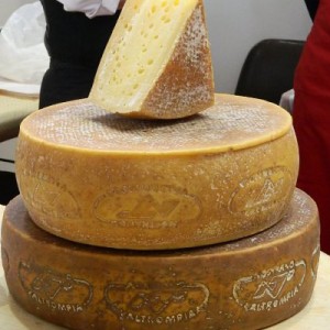 Progetto per il caseificio di Graticelle (Brescia), diventerà un'Università del formaggio