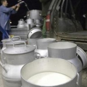 La Ce conferma: quest’anno per l’Italia niente multe latte da pagare