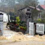 Storie di ordinaria alluvione: due caseifici in ginocchio a Massa e Carrara, decimati agnellini