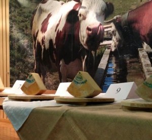 Concorso Fontina d’Alpage 2014, ecco tutti i vincitori