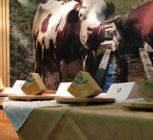 Concorso Fontina d’Alpage 2014, ecco tutti i vincitori