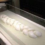 Obikà Mozzarella Bar diventa Obicà e progetta nuove aperture all’estero