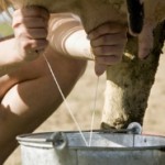 Proposta quote-latte: “Rateizzare le multe di tre anni senza interessi”